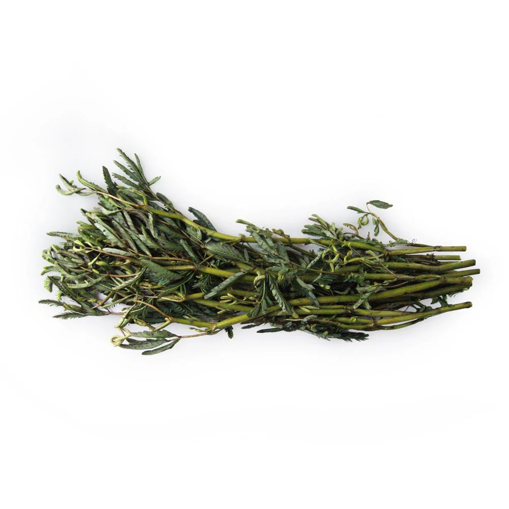 Water Mimosa (Pak Kar Ched) - 200g (Pre-Packed)