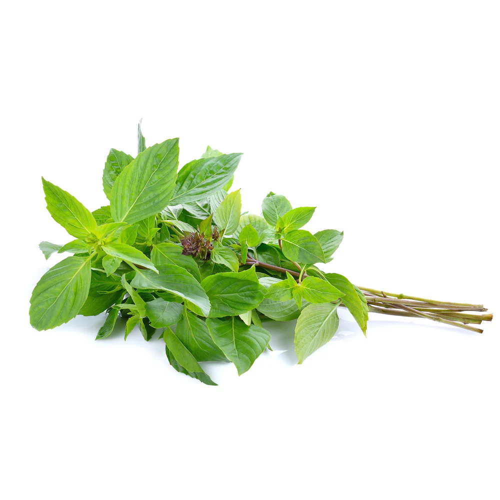 Thai Sweet Basil - 100g (Pre-Packed)
