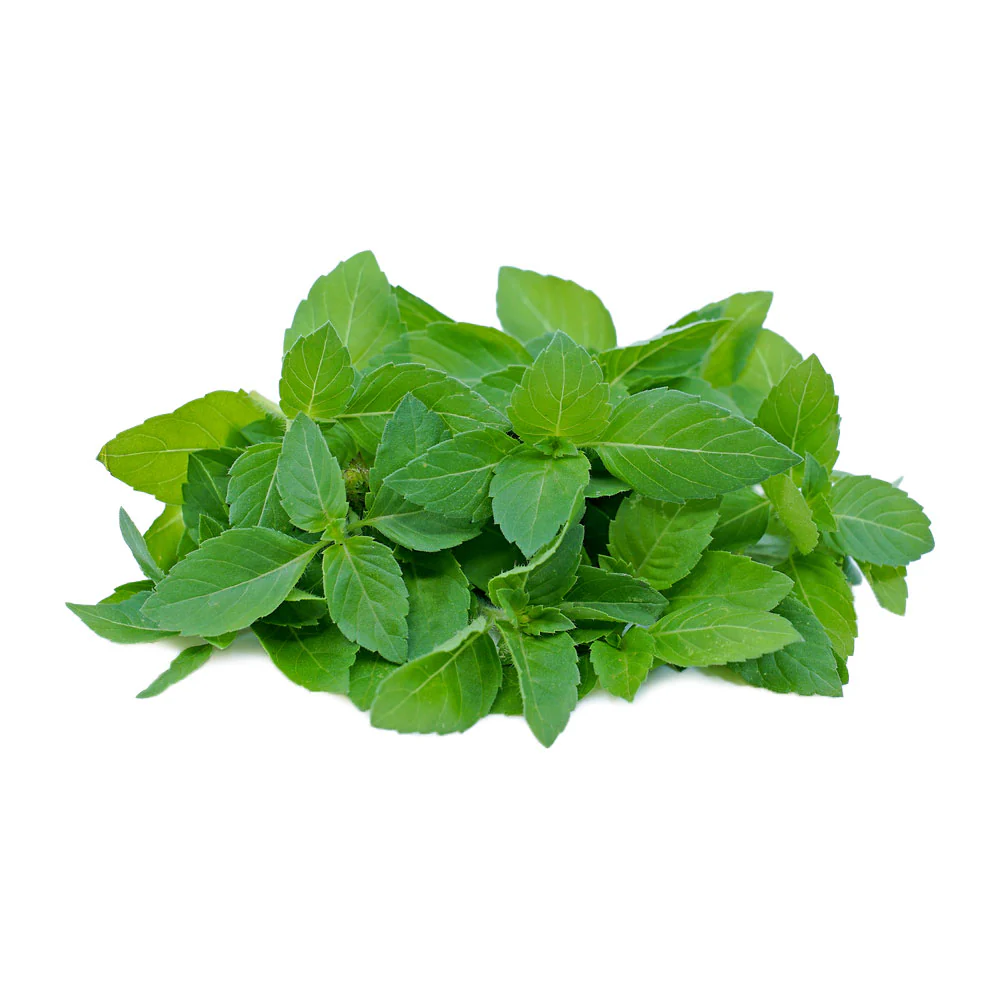 Thai Holy Basil - 100g
