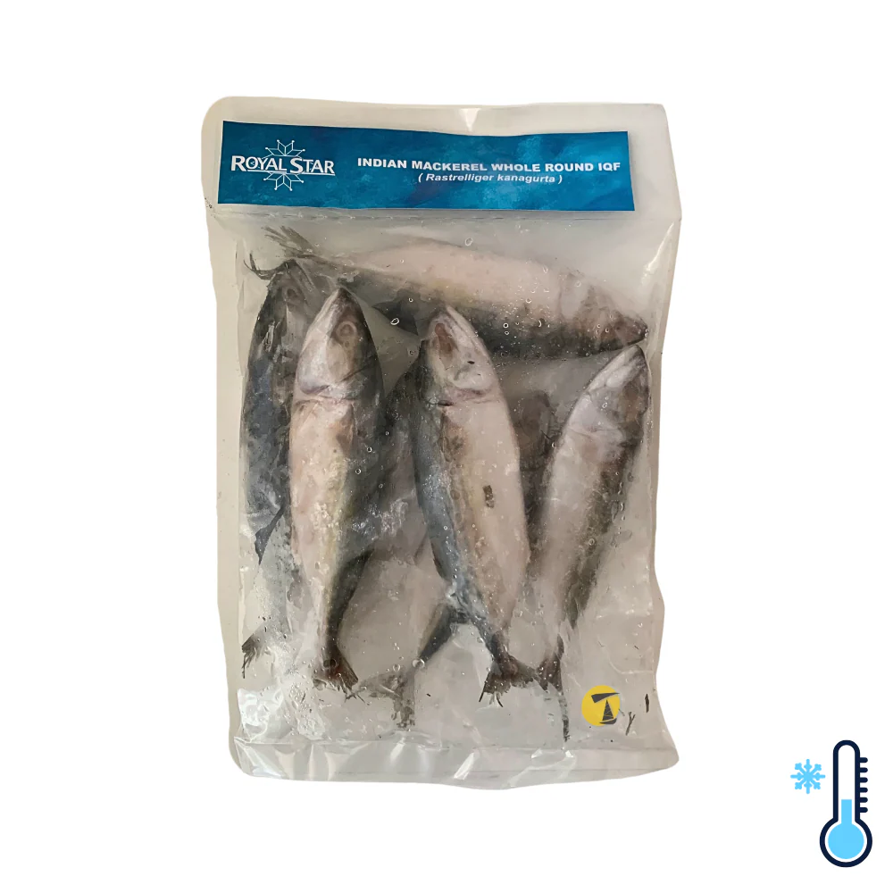 Nortrade Royal Star Indian Mackerel Whole Round (4/8) - 1kg [FROZEN]